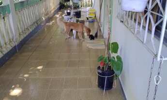 Imagem 2: Chácara com 24.000m2 em Guapimirim, Vale das Pedrinhas