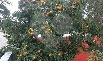 Imagem 6: Chácara com 2 dorms, Jardim dos Pinheiros, Atibaia