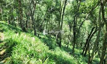 Imagem 2: Santo Antônio do Pinhal - Terreno Padrão - 5 Km do Centro