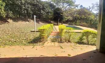 Imagem 3: CHÁCARA CURITIBANOS, 6700M², ASFALTO NA PORTA