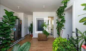 Imagem 3: Apartamento para Aluguel - Vila Mascote, 2 Quartos, 39 m2