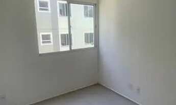 Imagem 5: Vista das copaiba