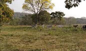 Imagem 7: Vendo fazenda em Nossa senhora de Livramento, 139 hectares, sentido cidade de Caceres