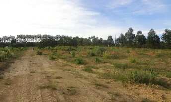 Imagem 5: Chácara 40.000 m