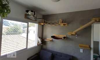 Imagem 4: Apartamento para Aluguel - Cambuci, 2 Quartos, 33 m2