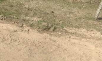 Imagem 5: Terreno Bracuy 400m2