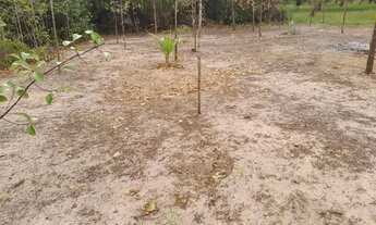 Imagem 5: TERRENO R$=10,000 NO ARATICUM MIRIM