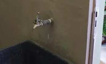 Imagem 3: Casa para aluguel Vila Assis Brasil - Mauá