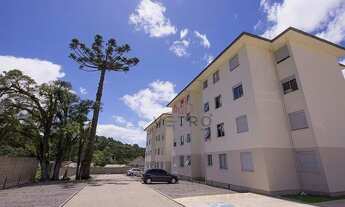 Imagem 3: Apartamento no bairro Ulisses de Abreu em Canela!