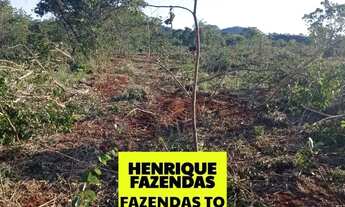 Imagem: Fazenda de 274 alqueires plana a 55 mil