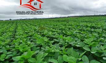 Imagem 4: Fazenda 392 Alqueires Região De Niquelândia/GO