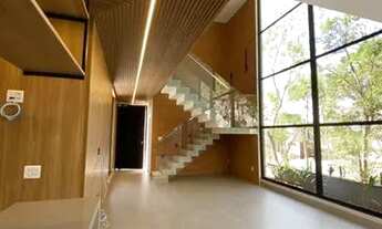 Imagem 3: CASA ASSOBRADADA - FAZENDA RODEIO - SP