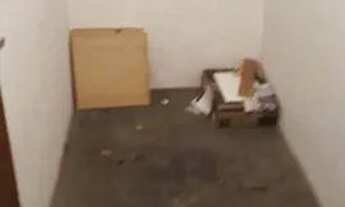 Imagem: Jardim Nasralla