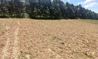 Imagem 7: Vende-se terreno em Cotia-sp