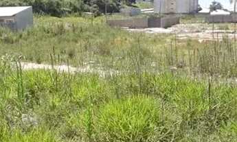 Imagem 3: Terreno Cidade industrial