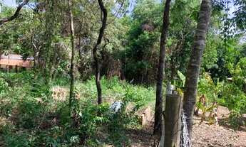 Imagem 4: Chácara 2.250 m² em condomínio, chalé, fogão a lenha, córrego nos fundos e cisterna