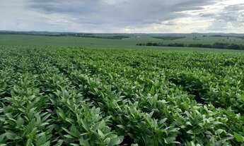 Imagem: Fazenda 86.6 alq em Caiapônia Goiás. 16.920.000