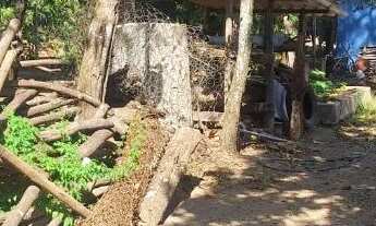 Imagem 7: Oportunidade Única em Araras!! Pesqueiro dos seus Sonhos não perca essa oportunidade!