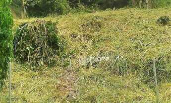 Imagem 5: Terreno à venda, 750 m² por R$ 250.000,00 - Serra Grande - Niterói/RJ