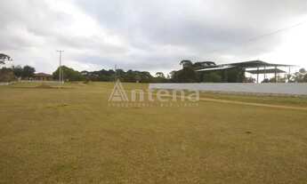 Imagem 5: Área para alugar por R$ 6000.00, 5000.00 m2 - IPE - SAO JOSE DOS PINHAIS/PR