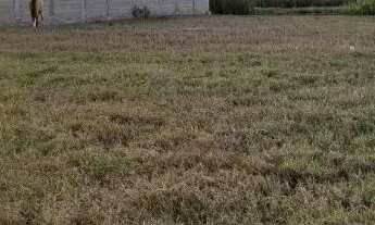 Imagem 3: Vendo terreno no Morada Rural em Guaxindiba