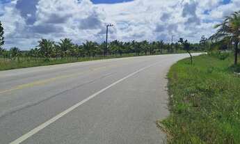 Imagem 4: Lindo Terreno com 30 X 130