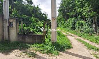 Imagem 7: SITIO PARA VENDA ESTRADA VALE QUEM TEM