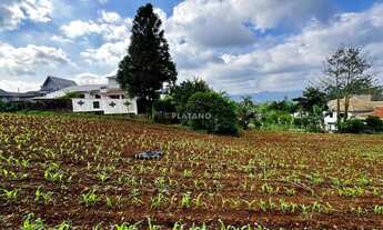 Imagem: Imóvel no Concórdia, Ivoti