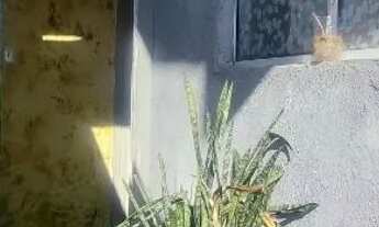 Imagem: Alugua- se kitnet mobiliada com água e