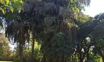 Imagem 3: CHACARA - CHÁCARA SANTA MARGARIDA - SP