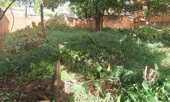 Imagem 3: 2 lotes juntos 720 metros no bairro jardim palmeiras