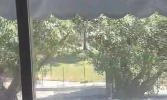 Imagem 7: IPANEMA - SALA COMERCIAL - RUA JOANA ANGÉLICA