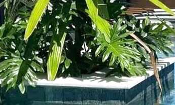 Imagem 4: Imóvel para venda com 70 metros quadrados com 2 quartos em Camboinha - Cabedelo - PB