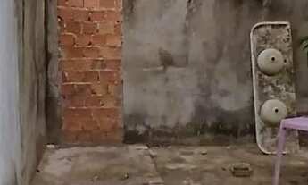 Imagem 4: Alugo Casa no Aracagy