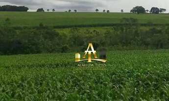 Imagem 2: Fazenda à Venda - Zona Rural - Cristianópolis/GO