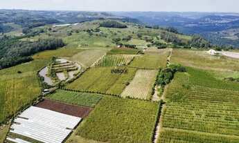 Imagem 3: INBOX CIA IMOBILILIÁRIA VENDE EM PINTO BANDEIRA - Área de terras com quatro hectares em Pi