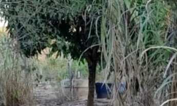 Imagem 4: Sitio 5,5 alqueires/35 minutos Major Prates..169.900.00