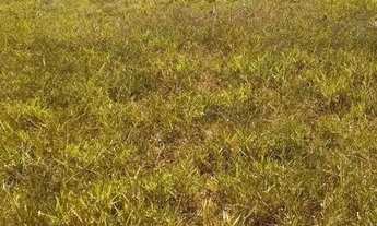 Imagem 5: Lote em condomínio em Rua Argemiro Gonçalves - Loteamento Residencial Jardim Botânico - It