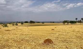 Imagem 6: Fazenda à venda 47 alq de cultura em Itauçu-GO
