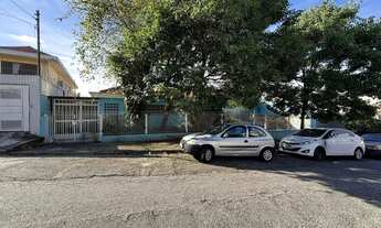 Imagem 5: Ótima localização: Bom Terreno à venda no Bairro do Parque São Domingos na Rua José Amaro