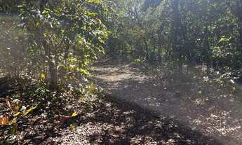 Imagem 6: Fazenda arrendamento 700hec pra abrir em aliança do Tocantins TO