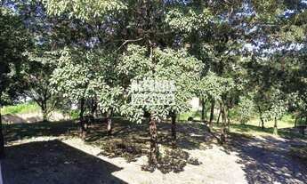 Imagem: Lote Venda TROPICAL