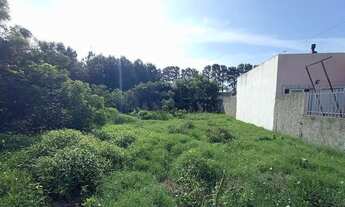 Imagem 3: Terreno à venda Laranjal