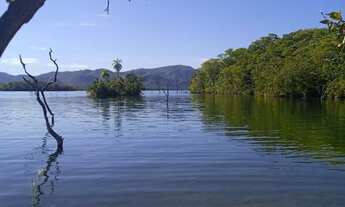 Imagem 5: Lote chácara Terreno / lote com venda por R$50.000