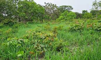 Imagem 7: Terreno de 2,75 ha, a 18 km da cidade de Caetité-BA o