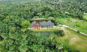 Imagem: TERRENO COMERCIAL em SÃO LUÍS - MA, ESTIVA
