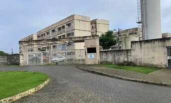 Imagem: Oportunidade Única em SAO LOURENCO DA MATA