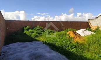 Imagem 4: Lote murado em General Maynard