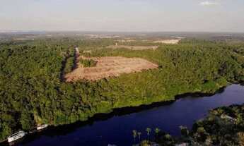 Imagem: PASSAROS DA AMAZONIA Seu terreno parcelado