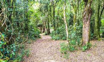 Imagem 2: TERRENOS EM COTIA